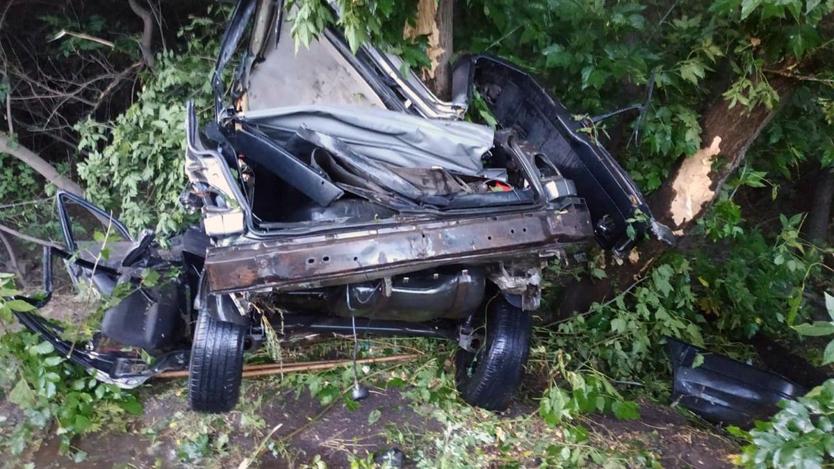 В Днепропетровской области Volkswagen влетел в дерево: погибли двое человек