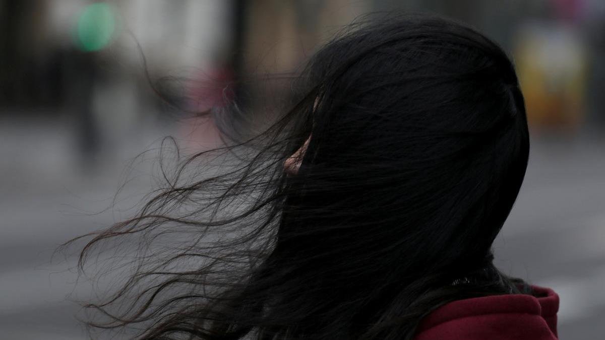 В Днепре и области синоптики предупреждают о сильном ветре и заморозках