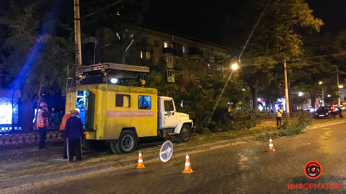 В Днепре на проспекте Дмитрия Яворницкого упало дерево и заблокировало движение трамваев