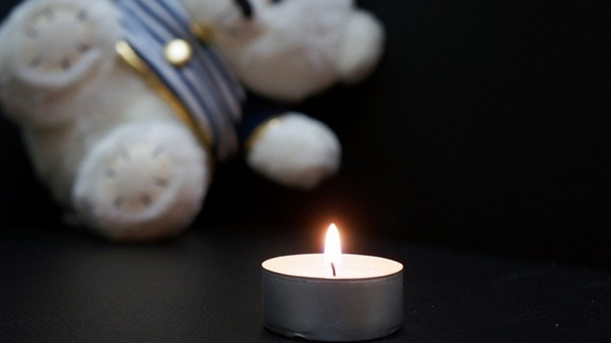 В Днепре 2-летний мальчик, которого покусали собаки, умер в реанимации