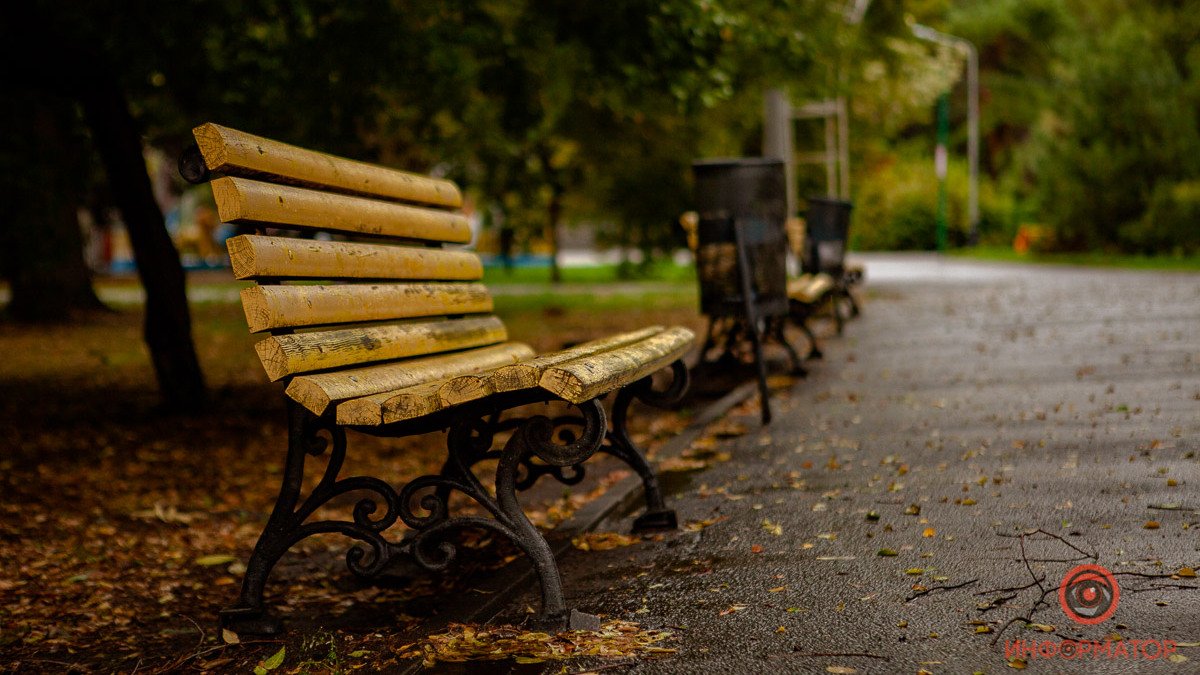 Время для грусти и фотографий в листьях: в каких парках Днепра встретить середину осени
