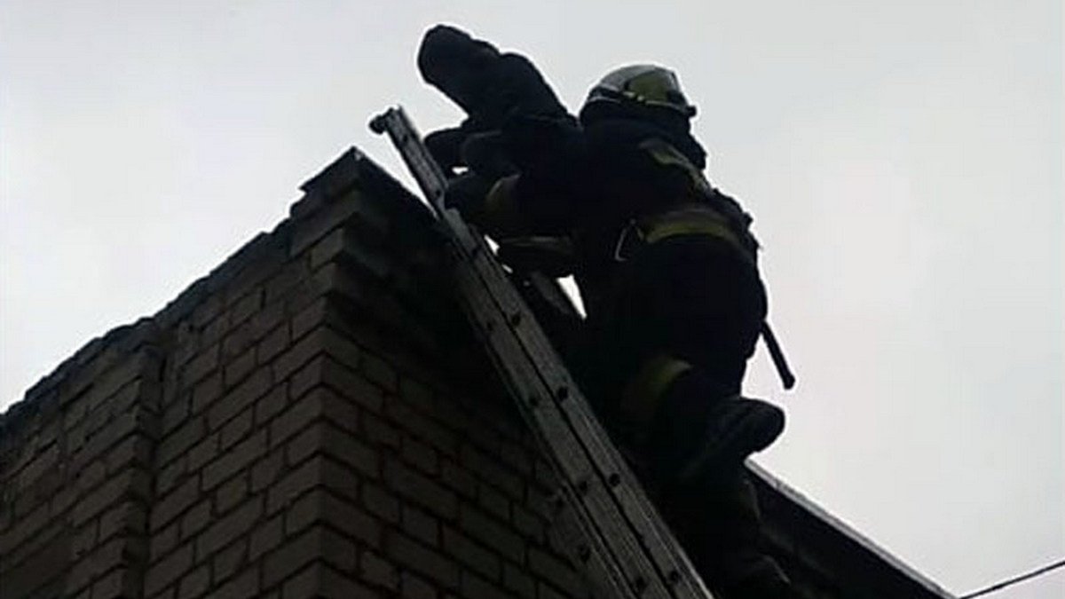 В Днепре спасатели помогли мальчику, который застрял на крыше трансформаторной будки