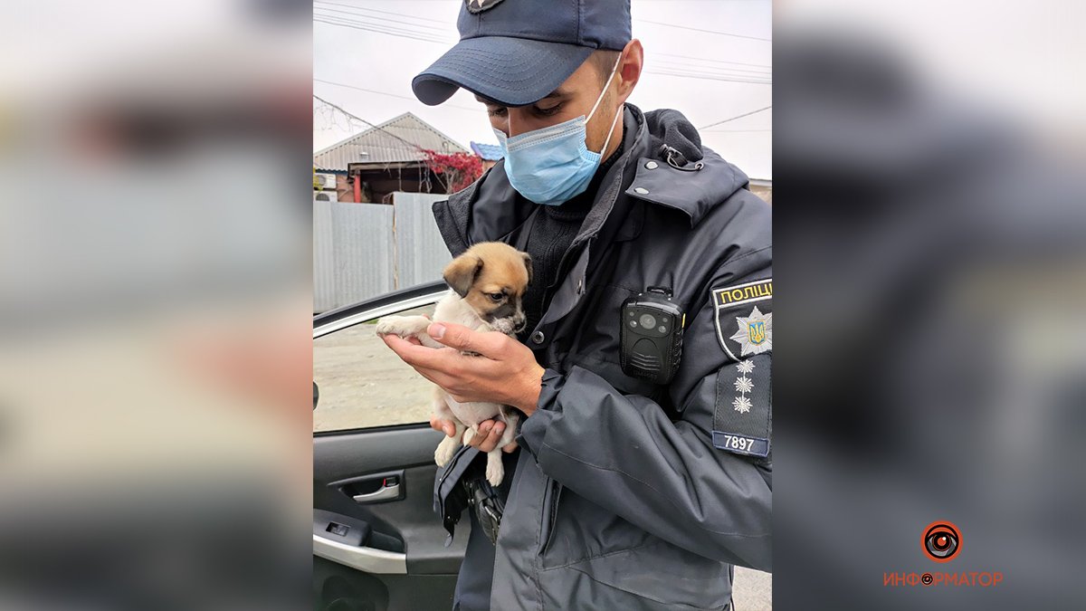 В Днепре патрульные помогли щеночку найти дом