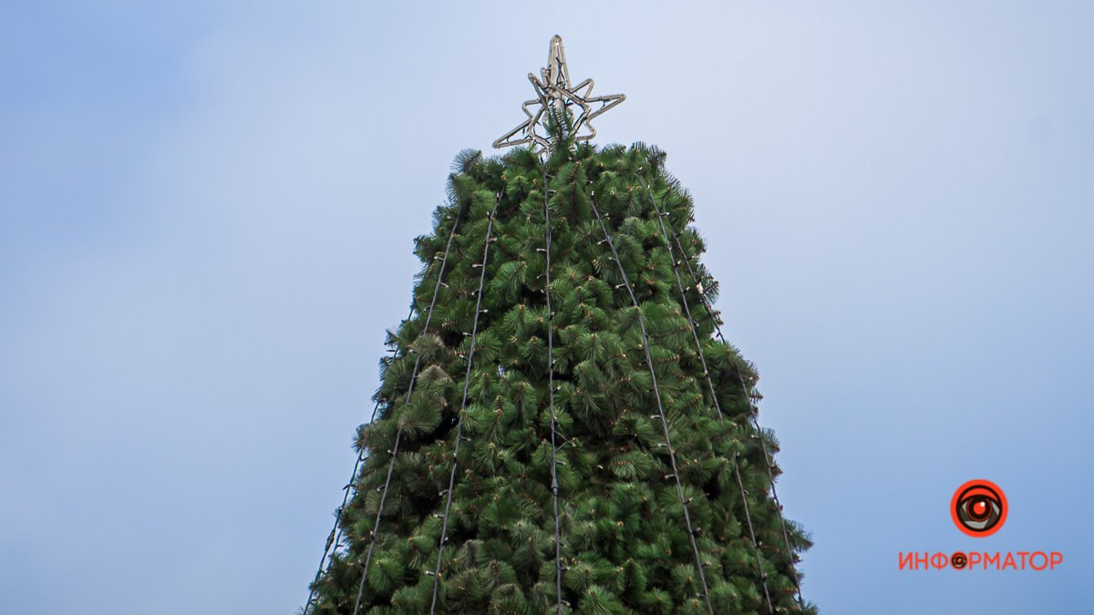 В Днепре установили первые новогодние елки