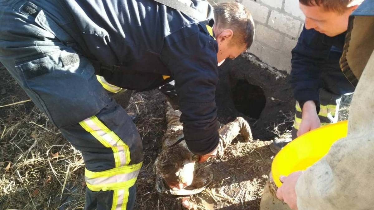 В Днепре спасают годовалого ребенка, который упал в выгребную яму туалета: состояние малыша