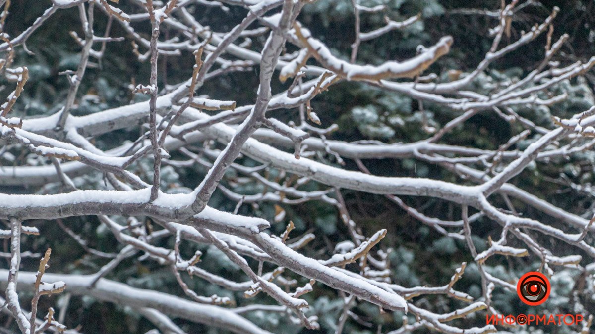 Белый плен: как выглядит Днепр под покровом снега