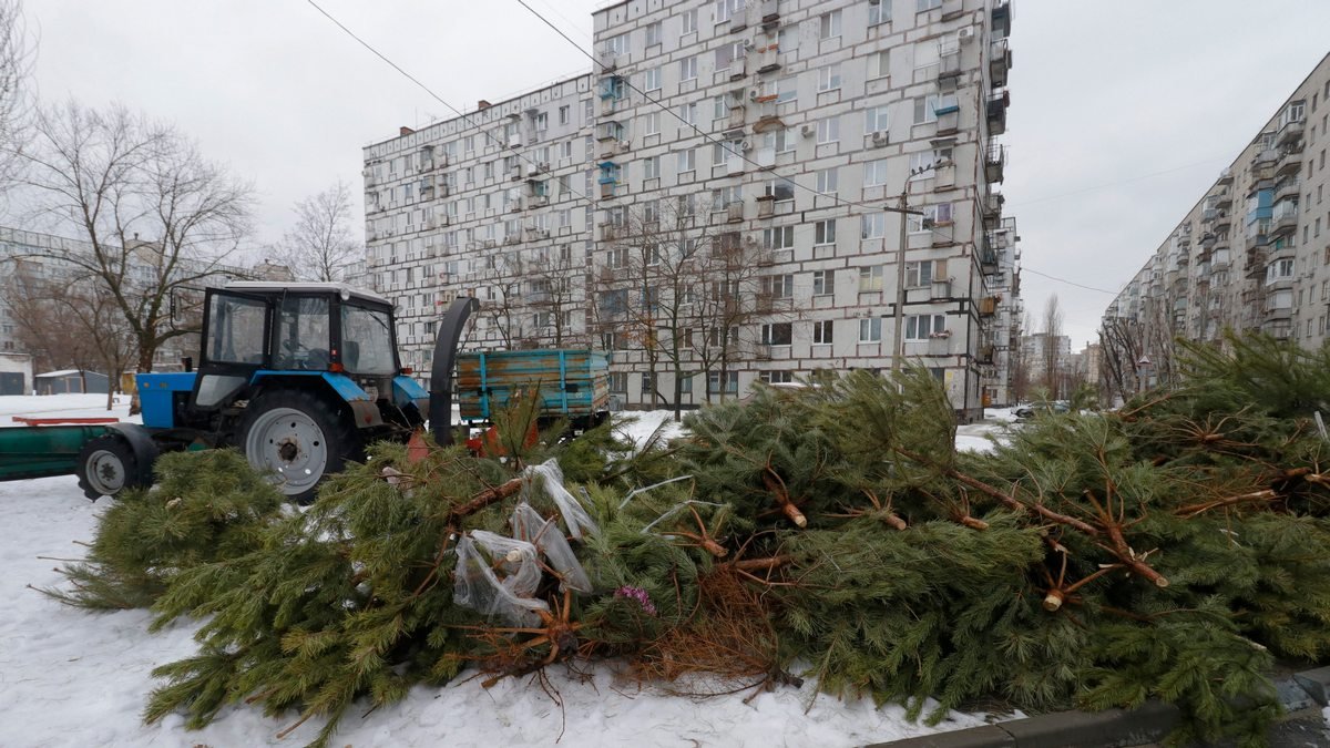 В Днепре рассказали, куда сдавать елки после новогодних праздников: адреса