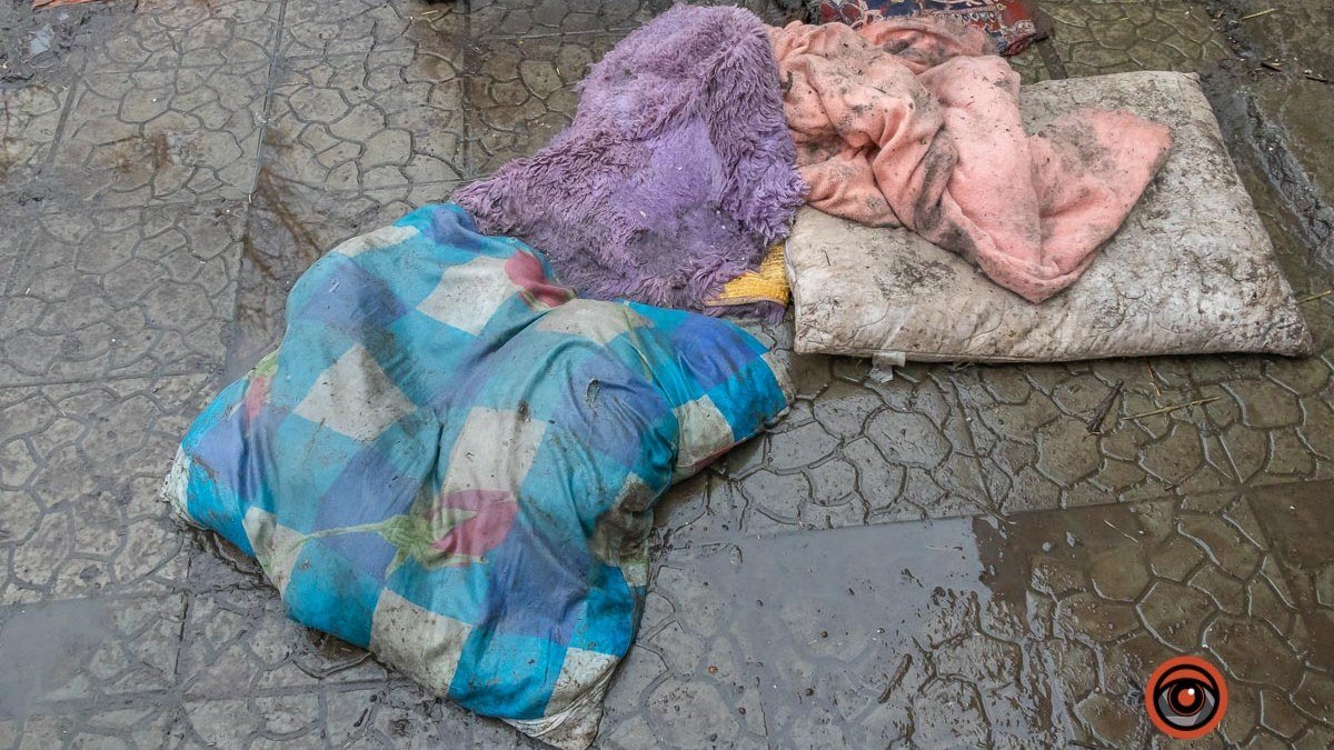 В Днепре затопило приют для животных: подробности и фото