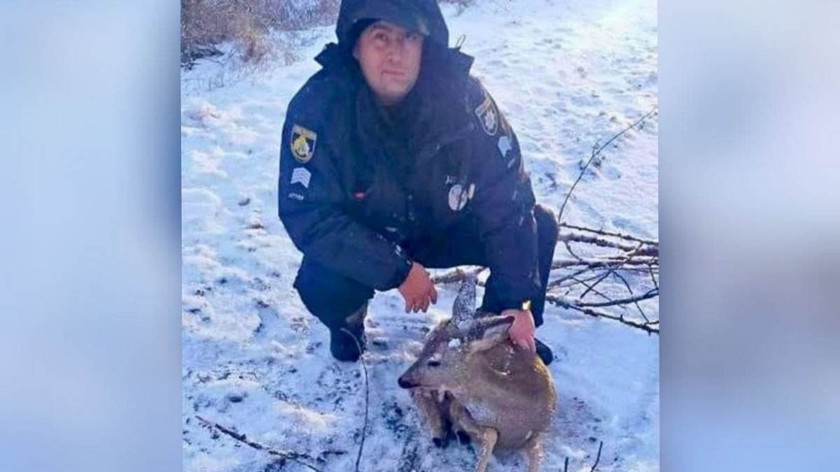 В Днепропетровской области полицейские спасли раненую косулю