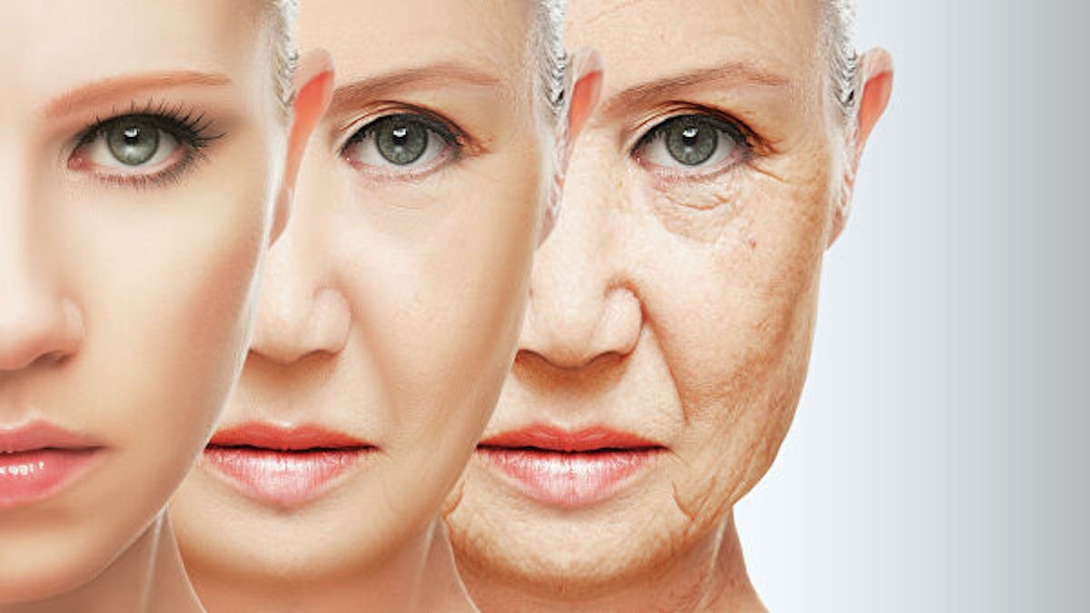 Состояние кожи лица как маркер старения организма