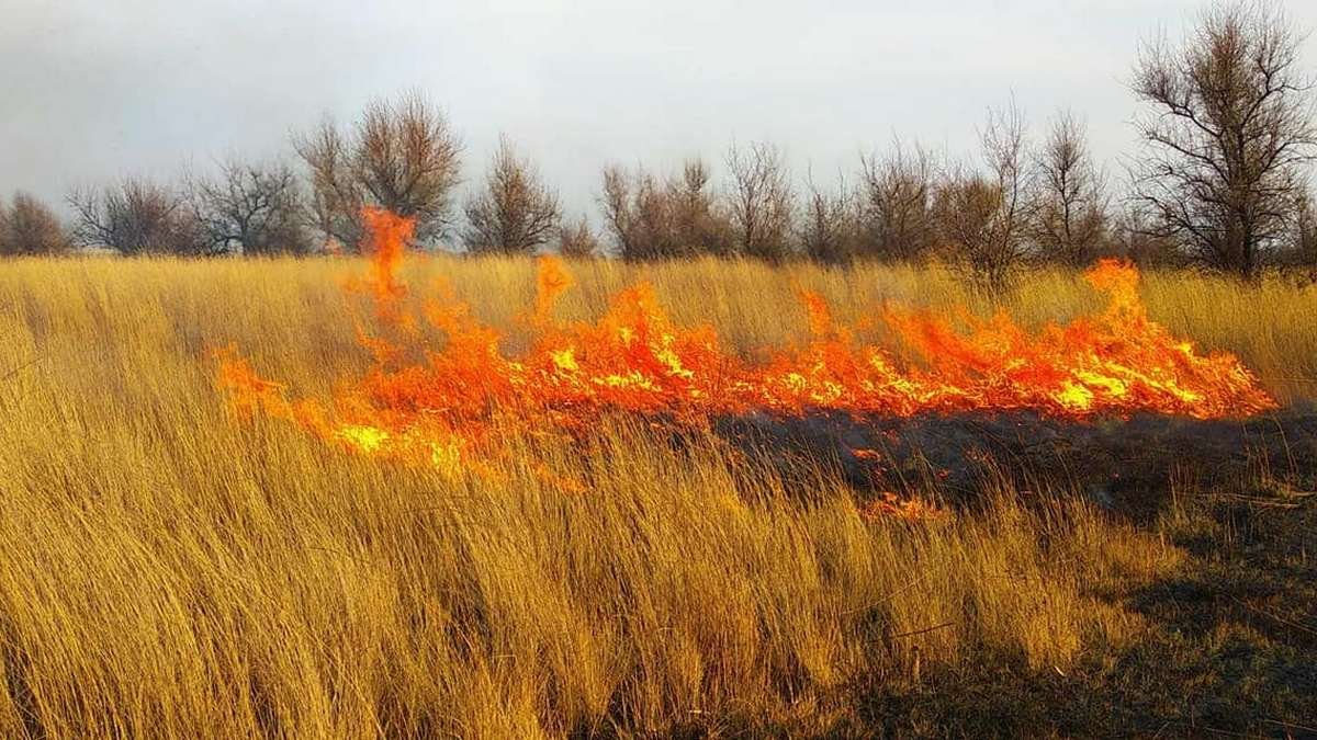 С потеплением начались пожары: спасатели обратились к жителям Днепра и области