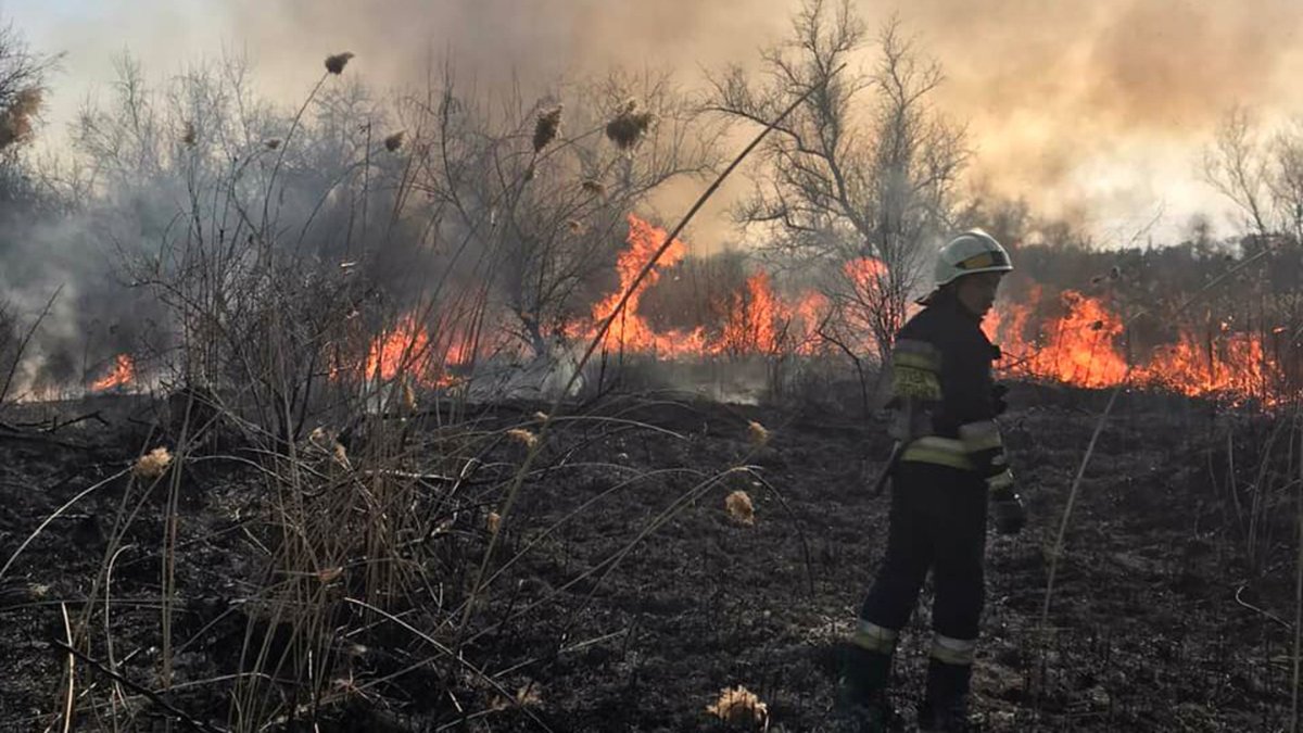 В Днепре в Самарском районе сгорел гектар травы