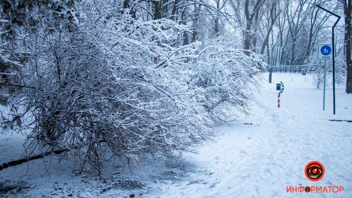 Зимняя сказка в конце марта: как в Днепре выглядит парк Гагарина, укрытый весенним снегом
