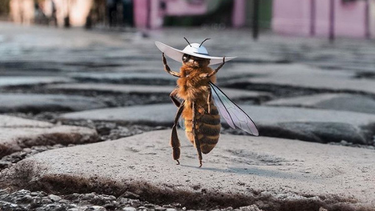 В Днепре рассказали, что делать, если вас укусила пчела, а вы - аллергик