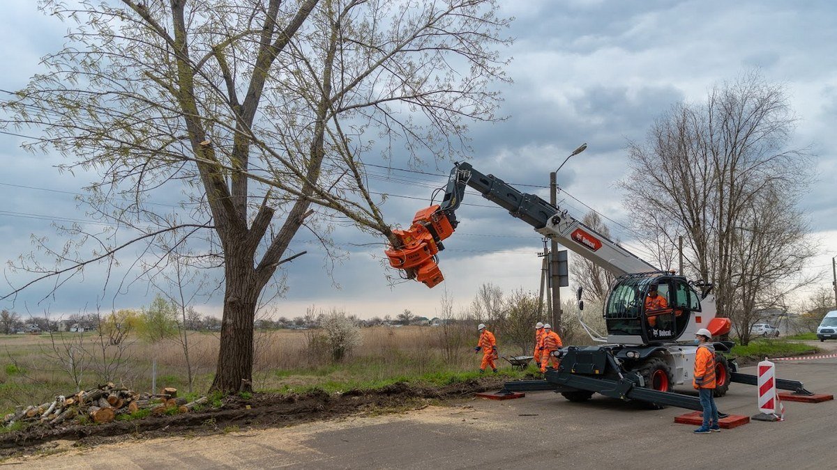 Одна за троих: днепровские коммунальщики сократили время удаления аварийных деревьев благодаря современной машине