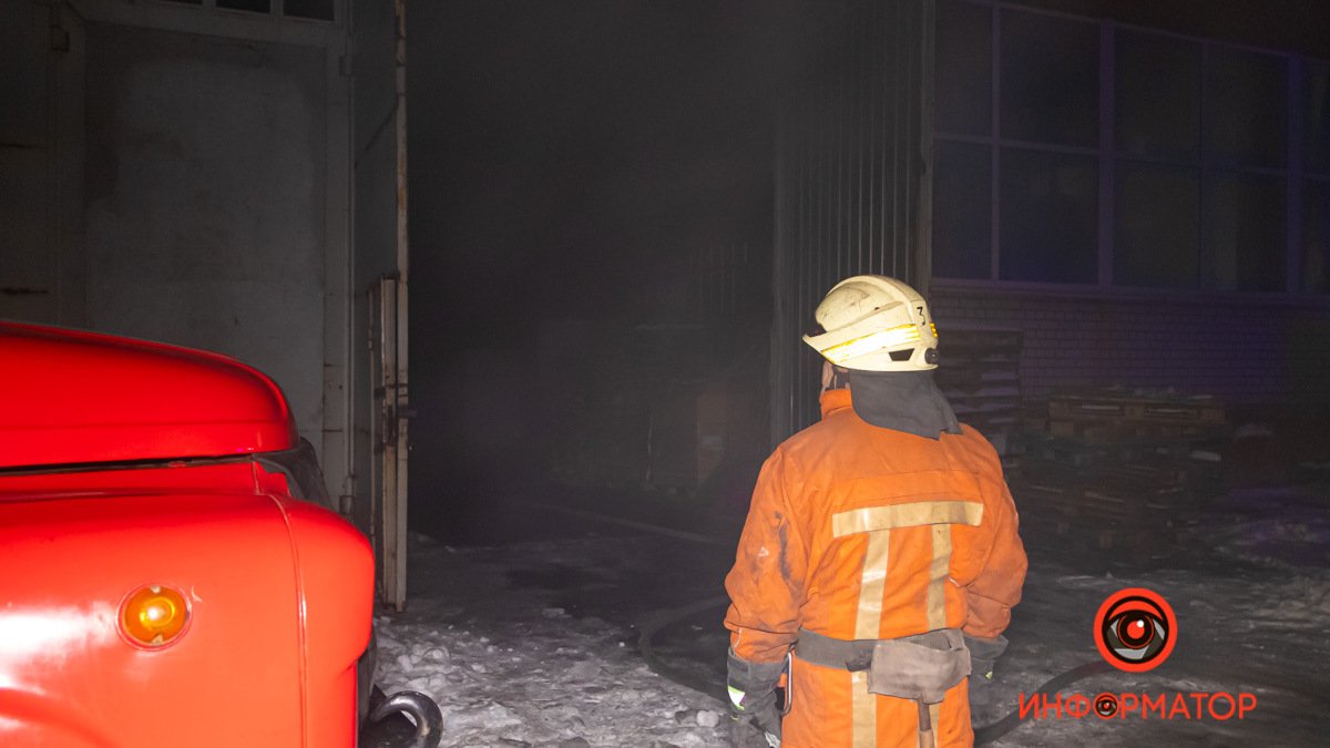 В Днепропетровской области несколько часов тушили масштабный пожар в лесу