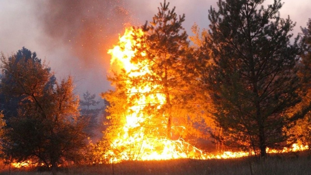 Жителей Днепра и области предупредили о высоком уровне пожароопасности