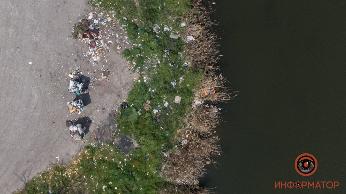 Мертвые черепахи и мусор: как сейчас выглядит озеро Куриное в Днепре?