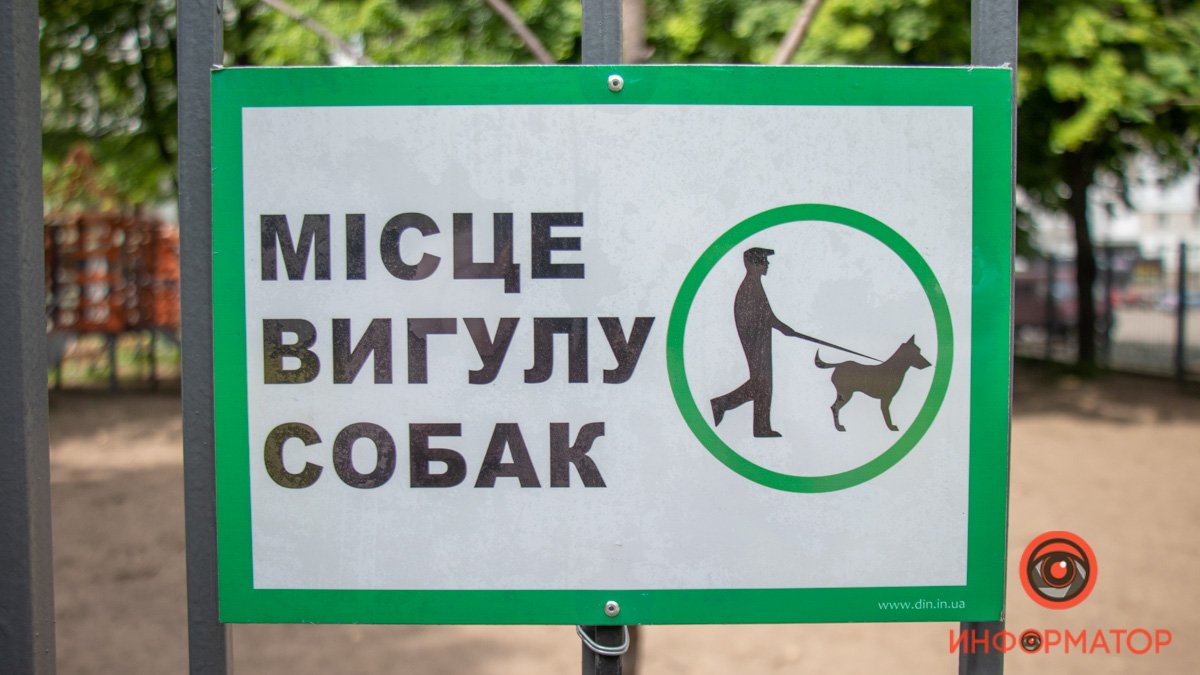 В Днепре на Новокрымской жильцы не довольны площадкой для выгула собак: как решить проблему