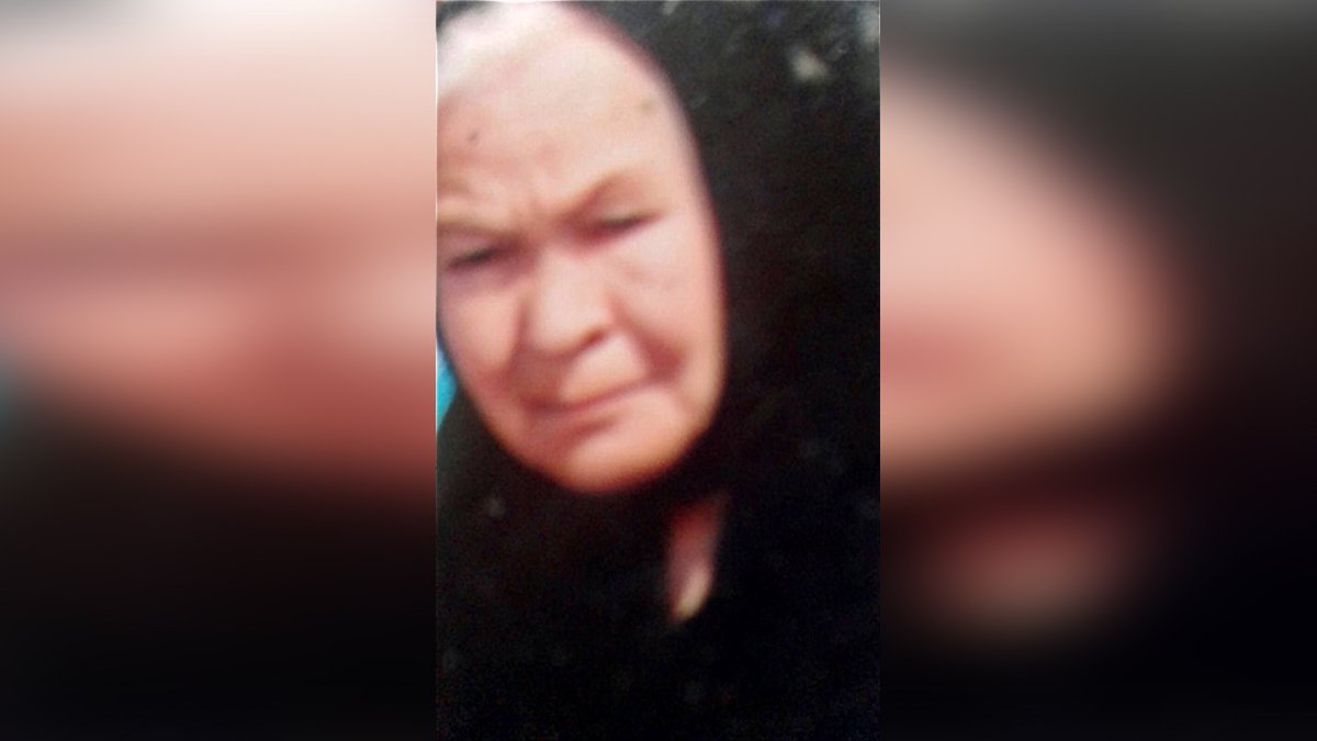 Собиралась на маршрутку, но не вернулась домой: в Днепре ищут 85-летнюю женщину
