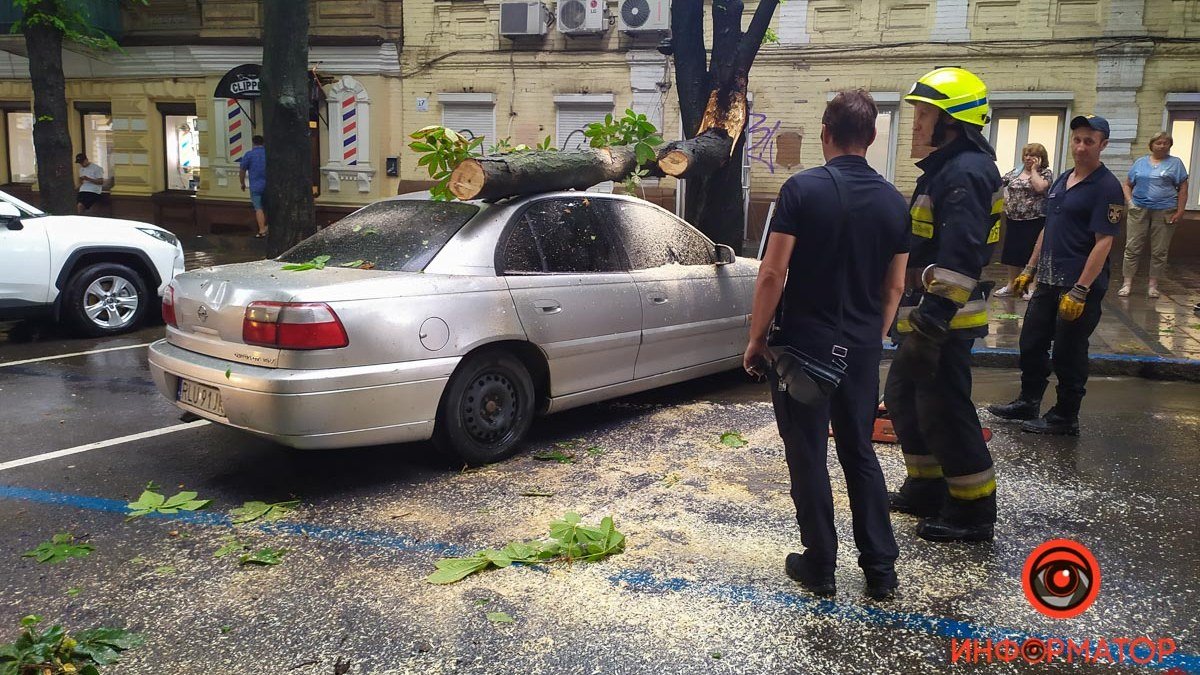 В Днепре на Короленко на Opel упало дерево: проезд перекрыт