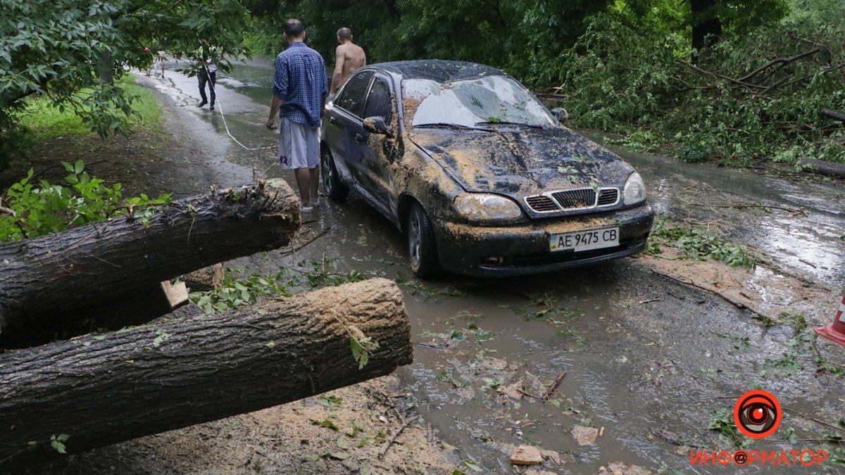 В Днепре на Каширской на Lanos упало дерево: проезд затруднен