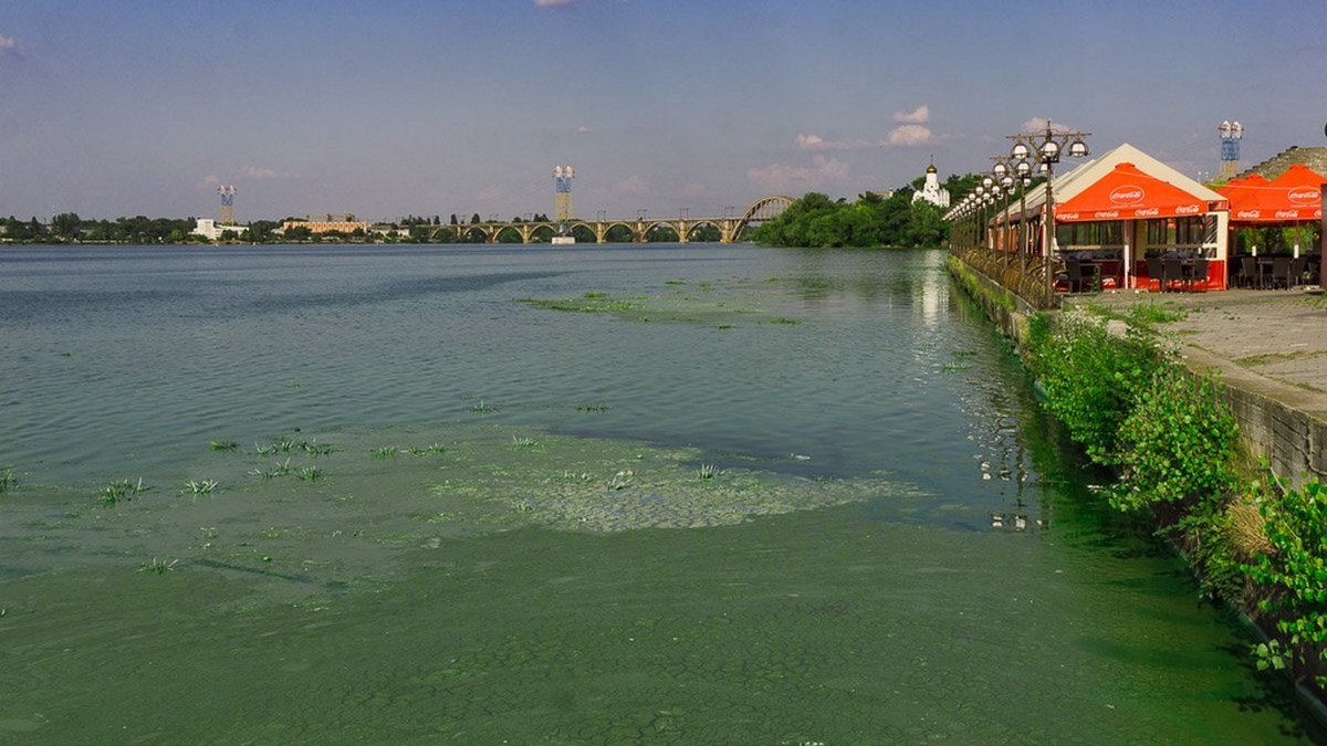 Состояние воды катастрофическое: в реке Днепр нашли 161 загрязнитель