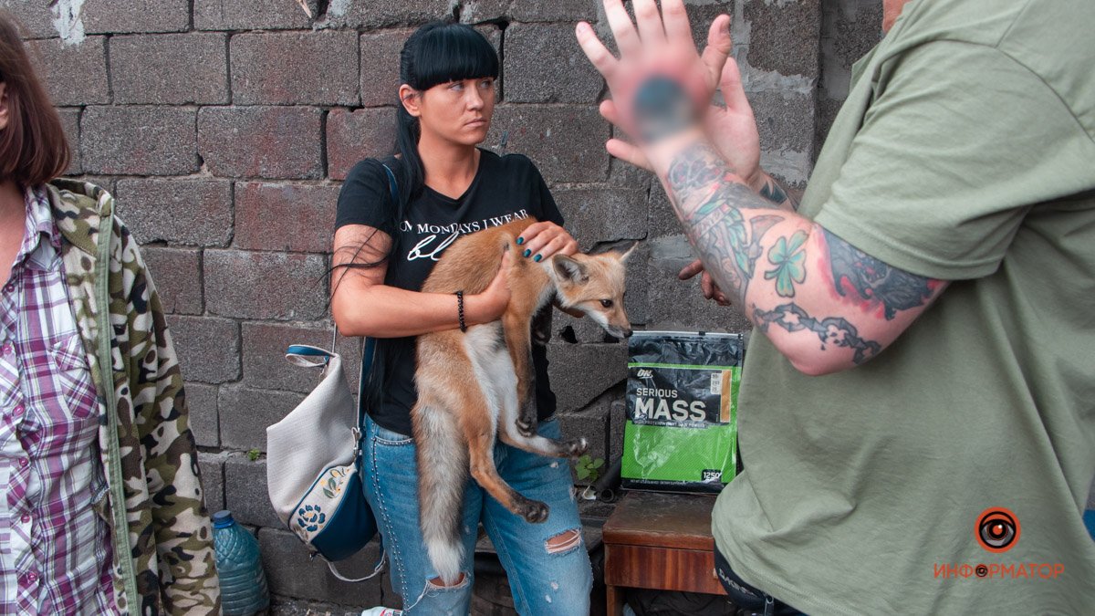 В Днепре лисят держали на территории приема стеклотары: животных спасли волонтеры