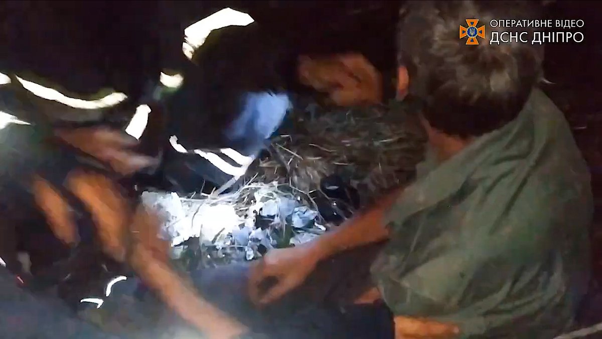 В Днепре ночью мужчина упал в балку и не мог оттуда выбраться: потребовалась помощь спасателей