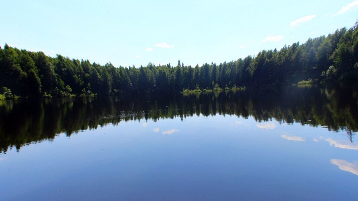 В Днепропетровской области в озере 10-летняя девочка запуталась в водорослях и утонула