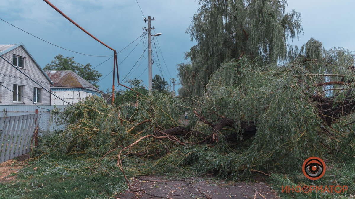 В Днепре в Балканском переулке ветер повалил деревья и электроопору: повреждена газовая труба