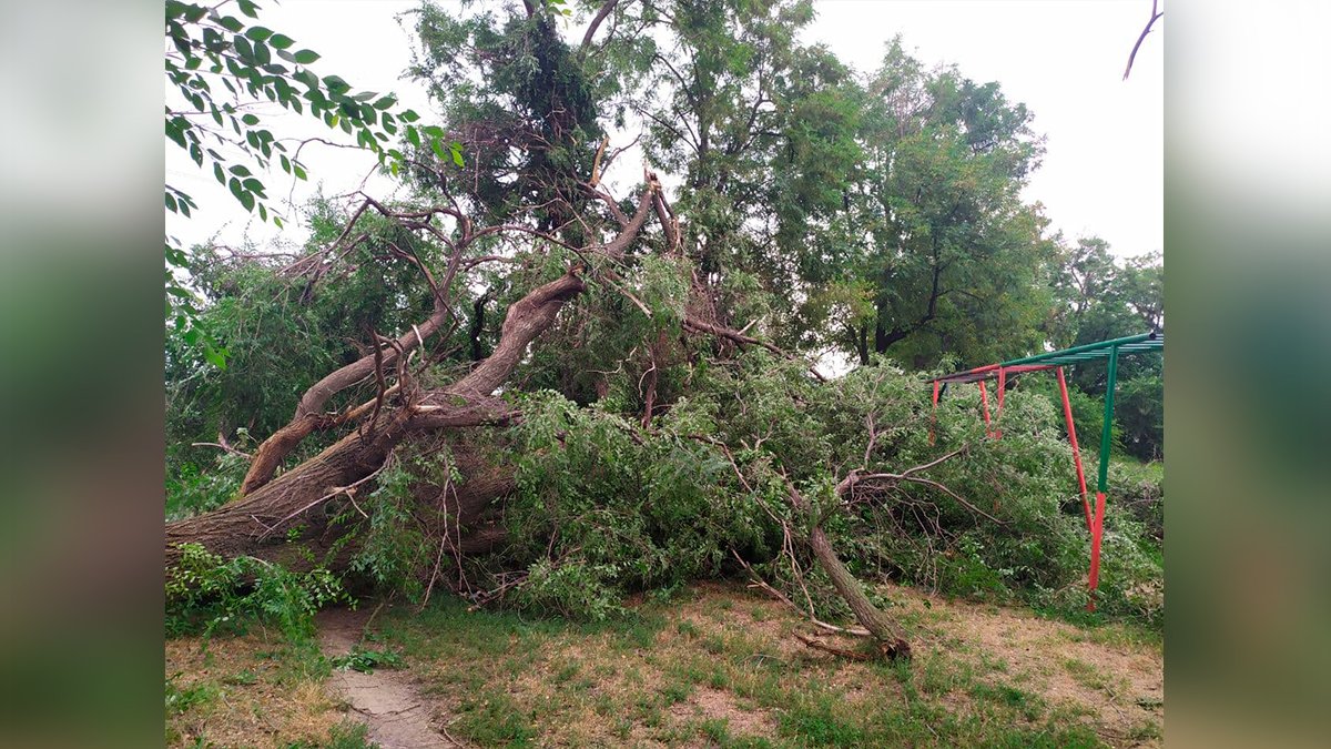 В Днепре на Гуртовой ветер повалил деревья на детскую площадку