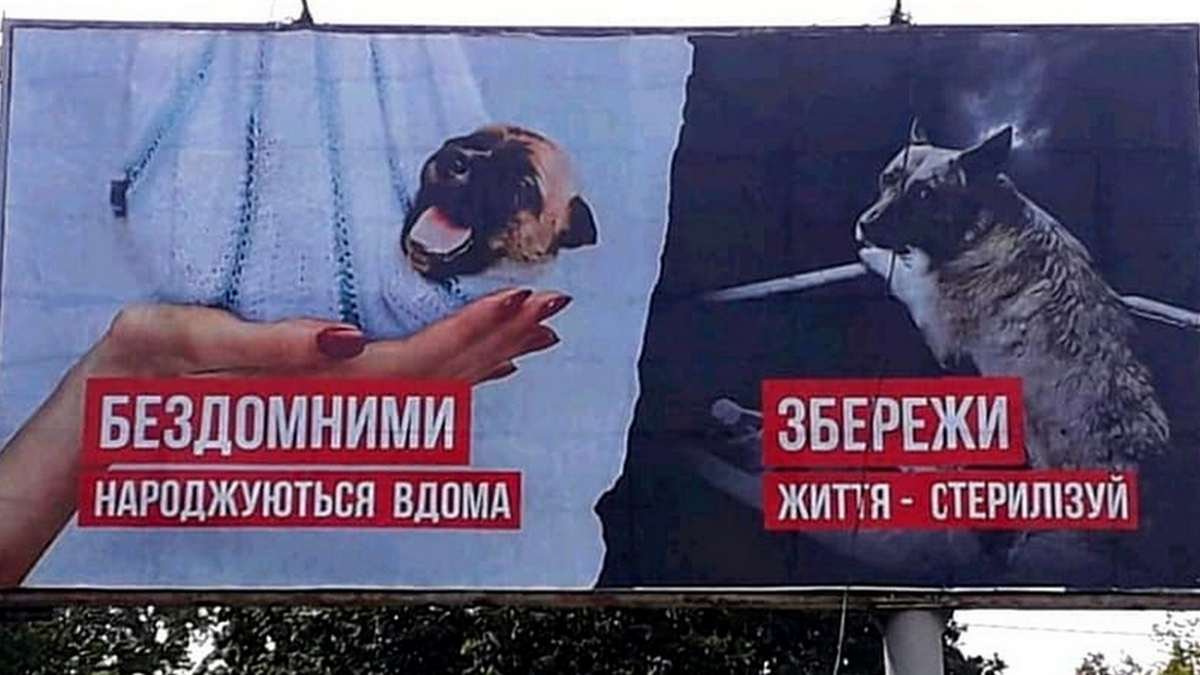 В Днепре появились необычные билборды: горожан призывают стерилизовать своих питомцев