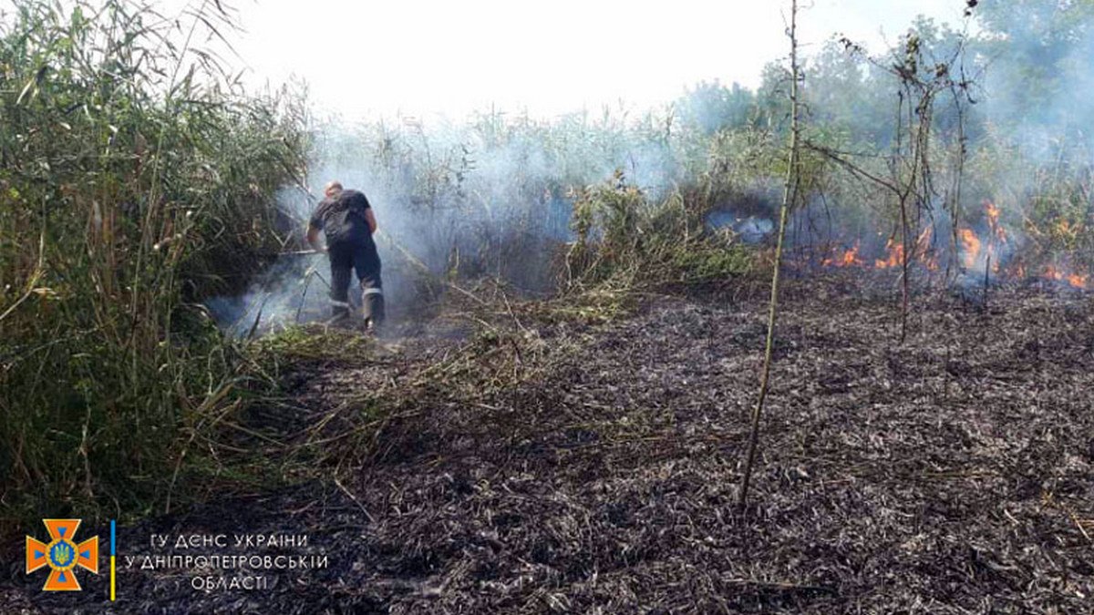 За день в Днепропетровской области сгорело почти 6 гектаров сухостоя