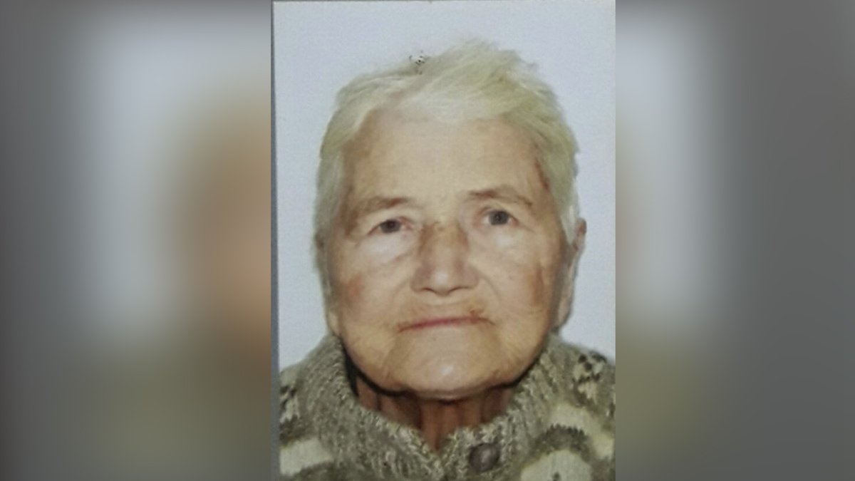 В Днепре без вести пропала 83-летняя женщина