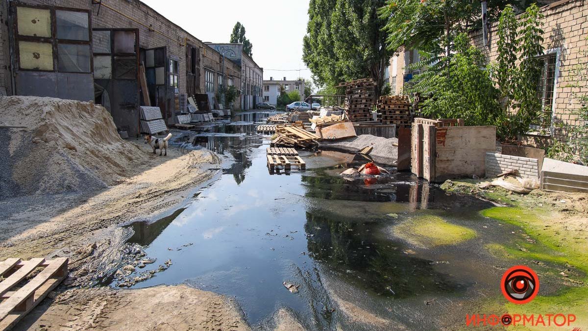 В Днепре Каштановую уже две недели заливает нечистотами