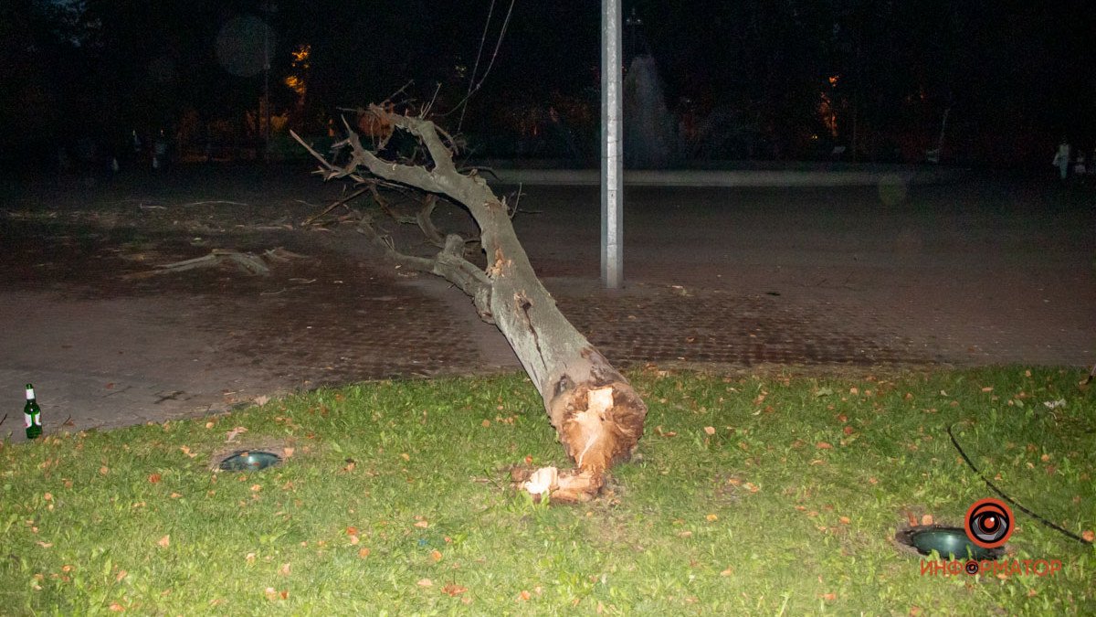 В Днепре в сквере Героев на мужчину упало дерево: комментарий "Горзеленстроя"