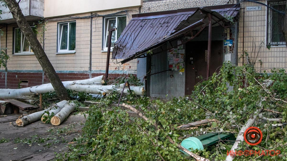 Оборванные провода и побитые окна: в Днепре на Янтарной на подъезд упало дерево