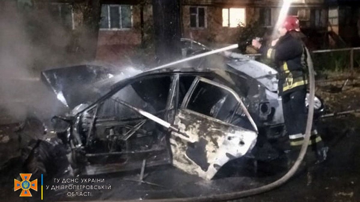 В Кривом Роге Toyota влетела в дерево и загорелась: погибла 29-летняя женщина