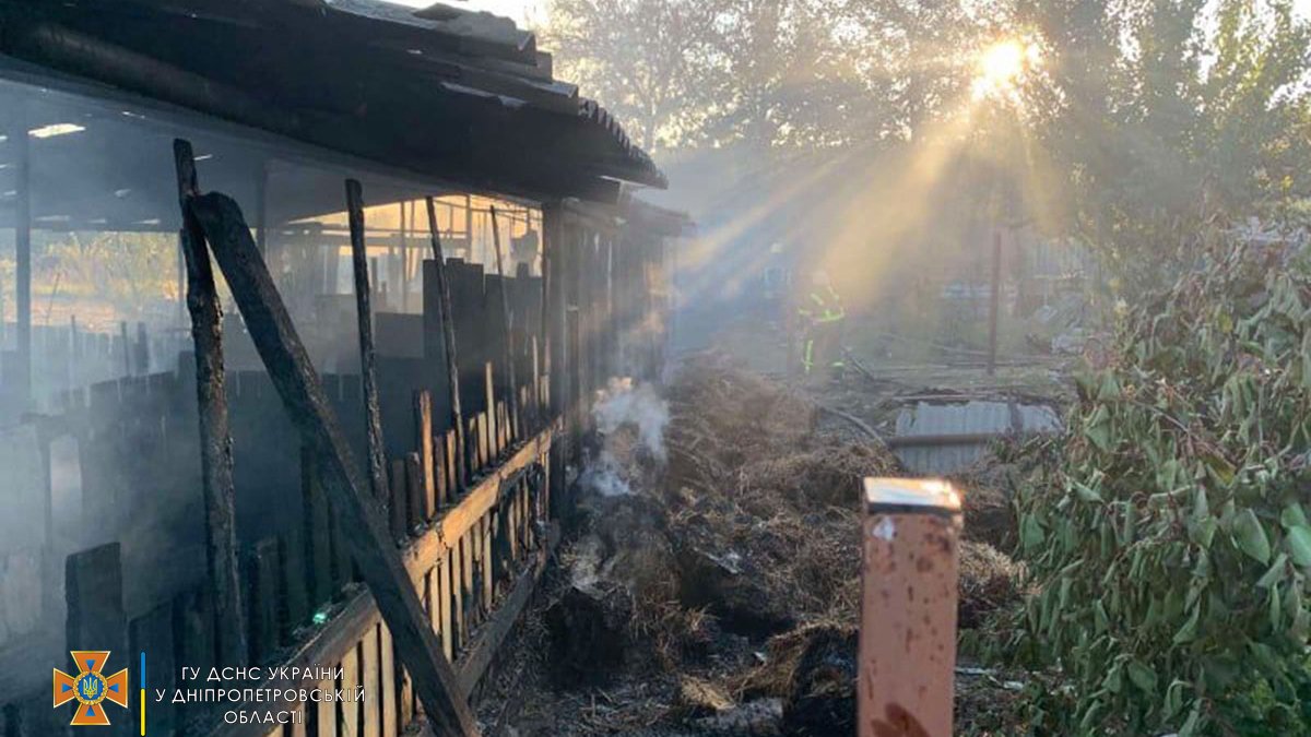 В Подгородном горел частный дом: погибли животные
