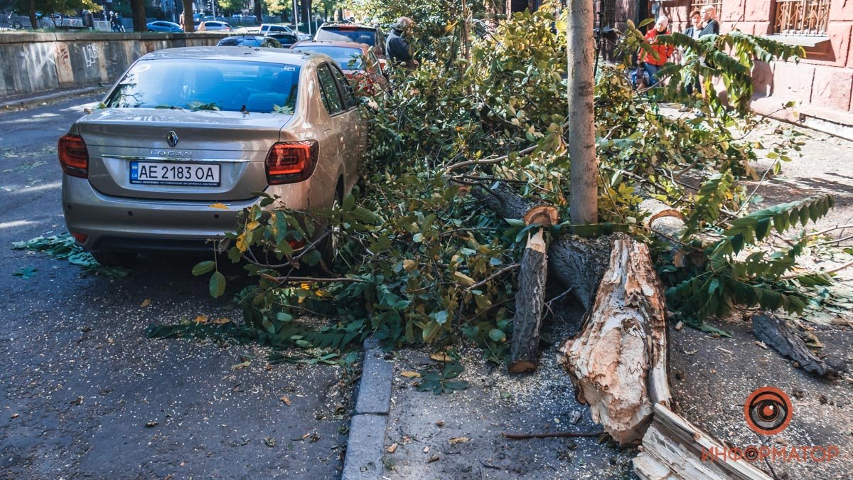 В Днепре на Гоголя дерево упало на три машины и оборвало кабель