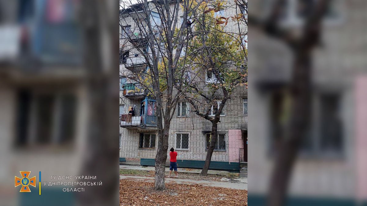 В Никополе беременная женщина застряла на дереве