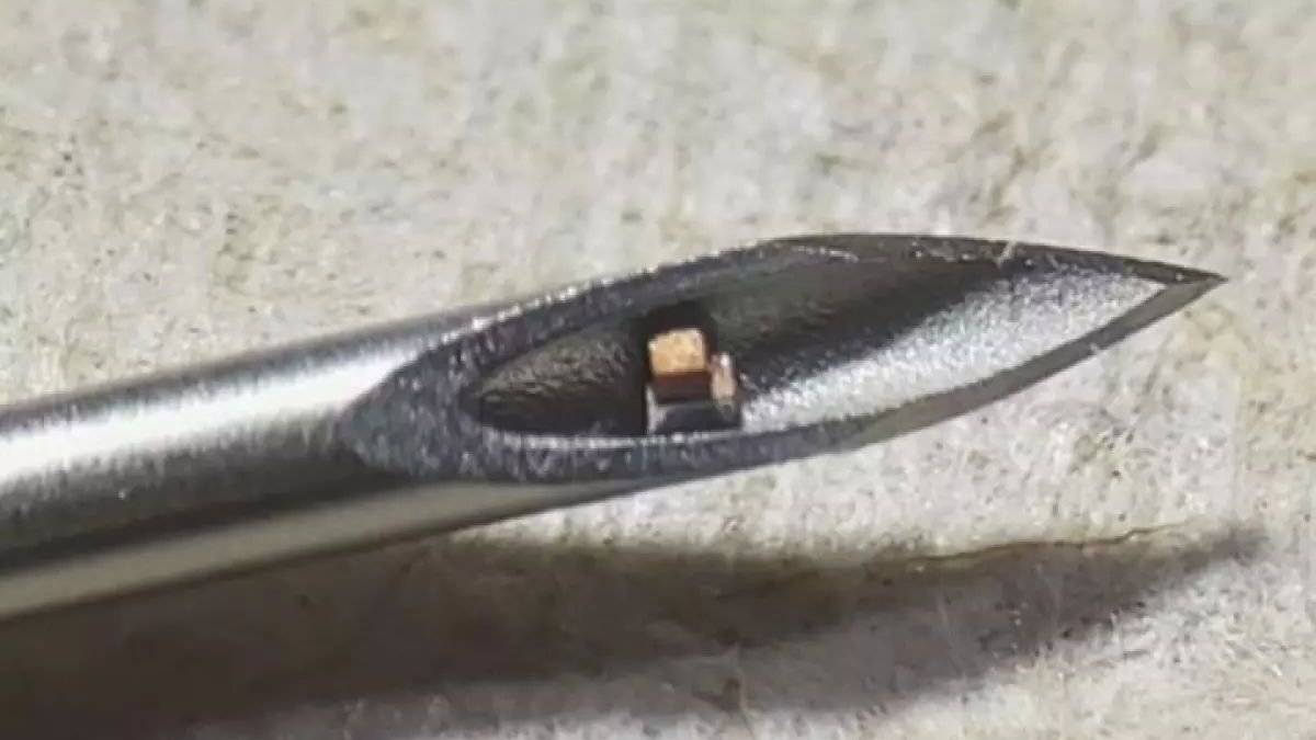Ученые создали самый маленький в мире чип: его можно будет вживить человеку при помощи шприца