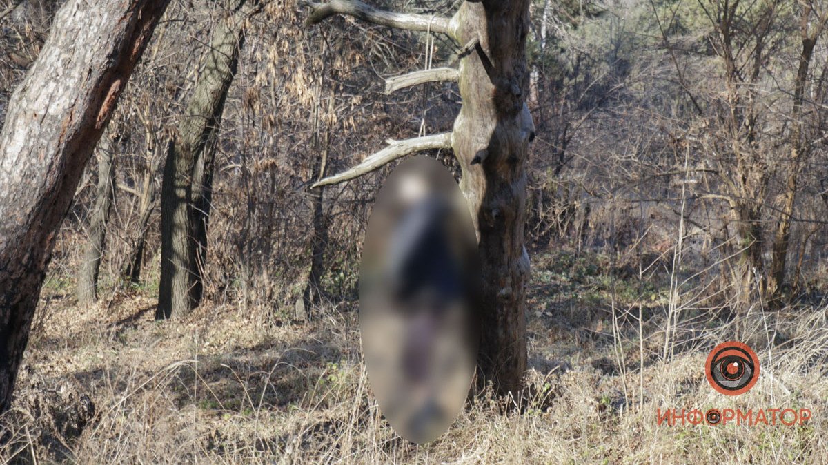 В Днепре в лесу обнаружили повешенного мужчину со спущенными штанами