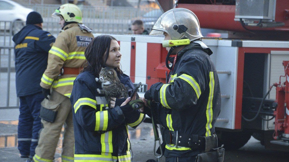 Если не найдёт хозяев, то заберёт себе: сотрудница ГСЧС спасла кошку в пожаре на Слобожанском