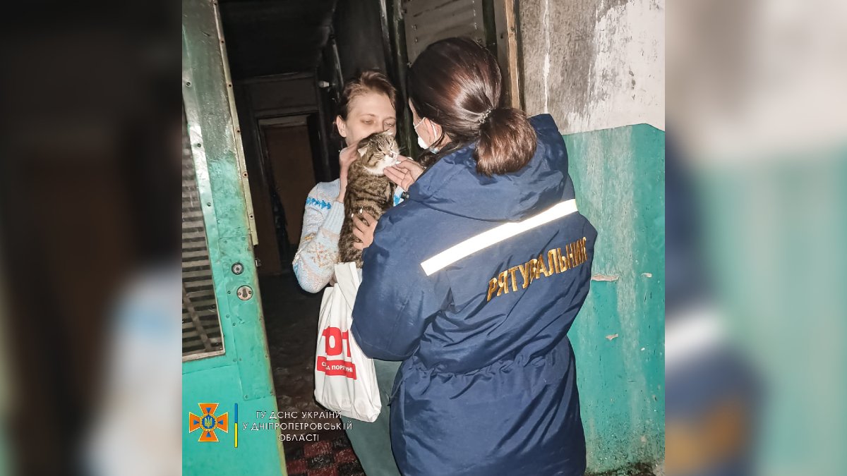 В Днепре нашли хозяйку кошки, которую спасли при пожаре на Слобожанском
