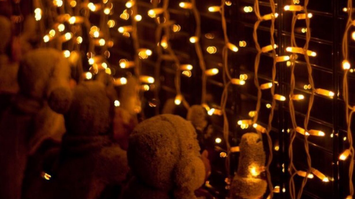 На нескольких улицах Днепра жители перед Новым годом остались без света