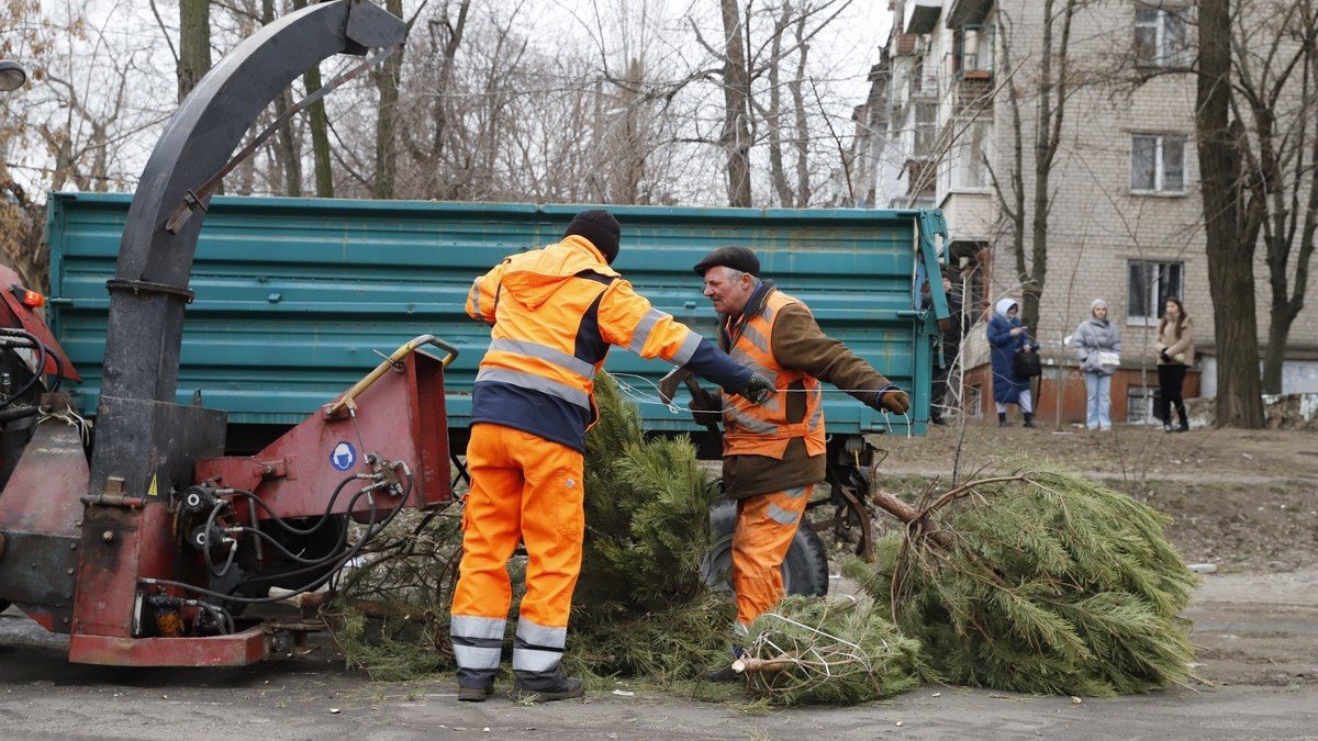 Измельчают и вывозят: в Днепре коммунальные службы начали утилизировать новогодние елки