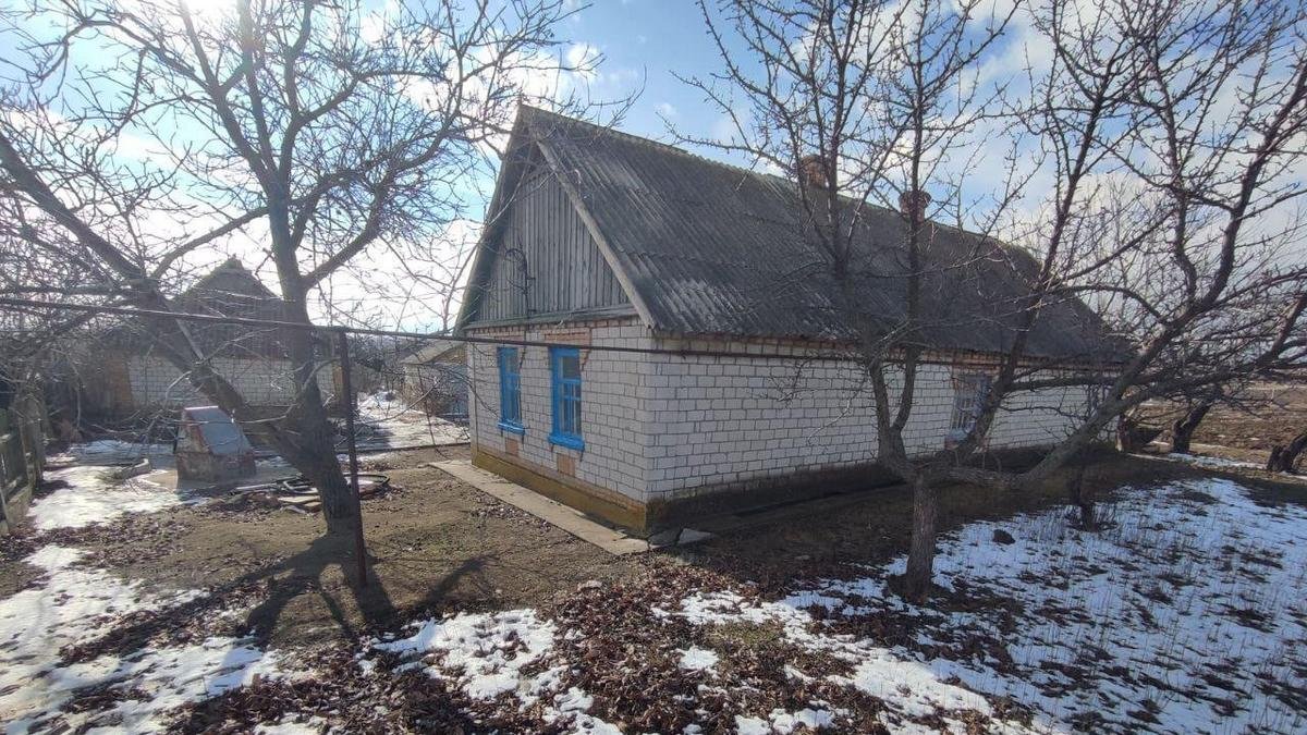 Резал ножом, бил топором и табуреткой: в Днепропетровской области пытались убить 54-летнюю женщину