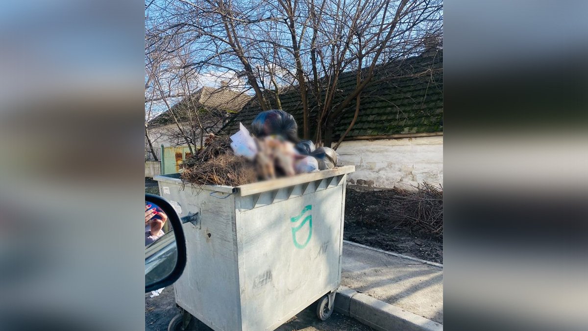Жертвоприношение или шутка: в Днепре на Коммунаре в мусорном баке нашли две козьих головы